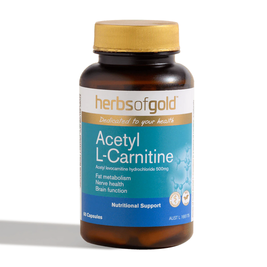 Herbs Of Gold Acetyl L-carnitine 60