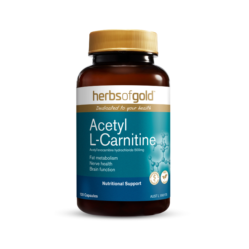 Herbs Of Gold Acetyl L-carnitine 60