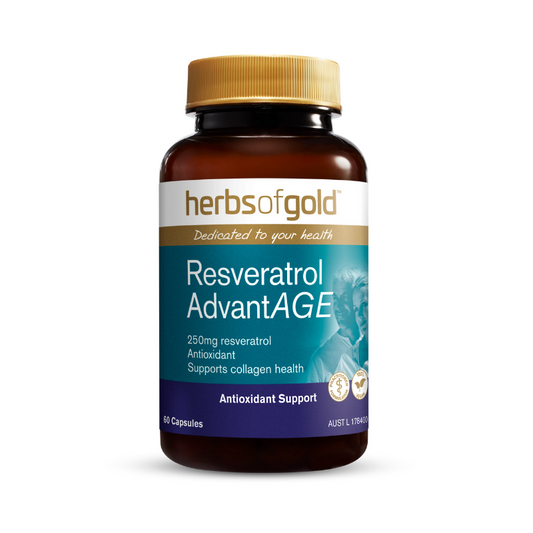 Herbs of Gold Resveratrol AdvantAGE - a premium, vegan antioxidant formulation, featuring a potent 250mg of resveratrol from Japanese knotweed.